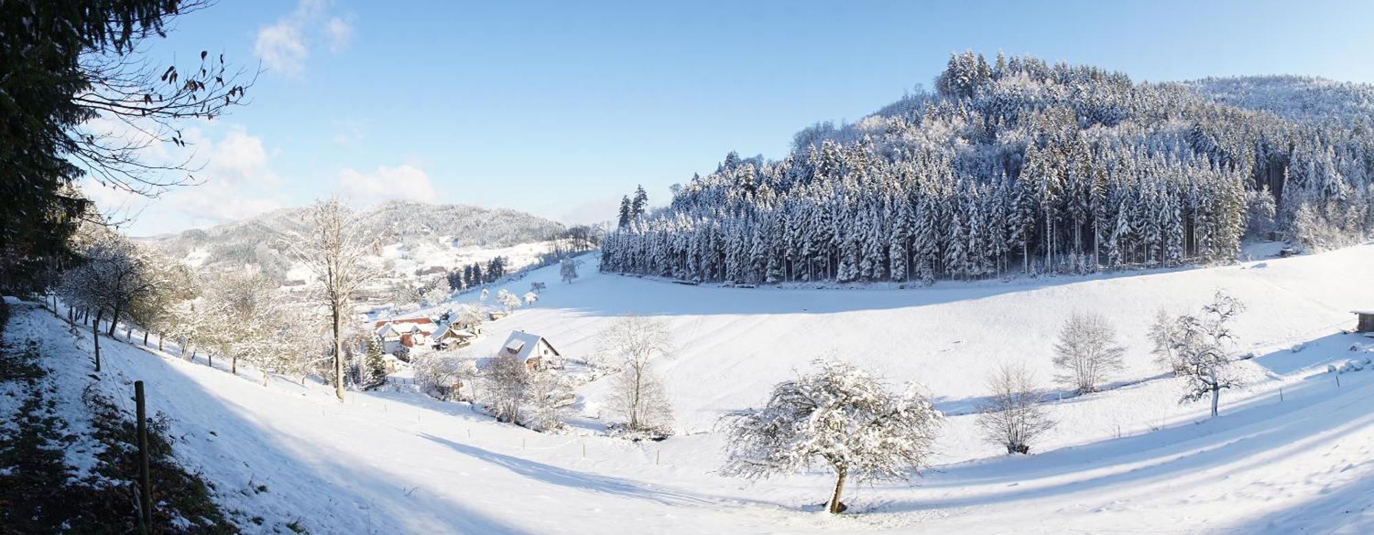 Muellerleile Hof Villa Haslach im Kinzigtal Eksteriør bilde