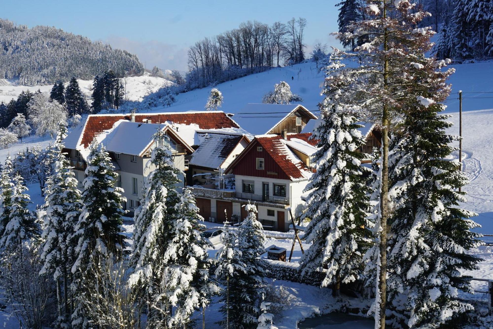 Muellerleile Hof Villa Haslach im Kinzigtal Eksteriør bilde