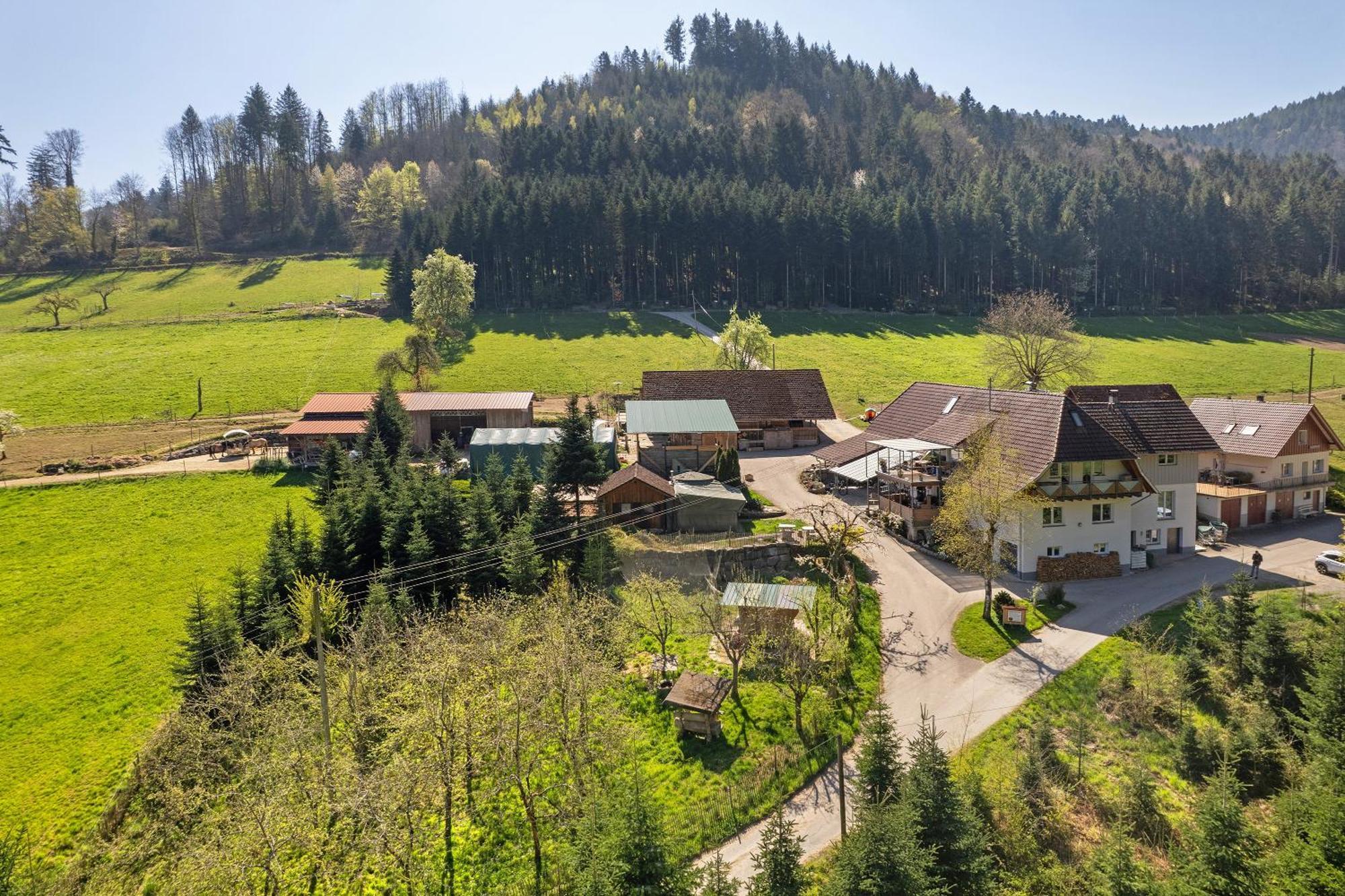 Muellerleile Hof Villa Haslach im Kinzigtal Eksteriør bilde